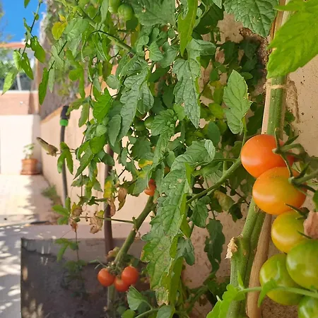 House Ferienhaus Torredembarra